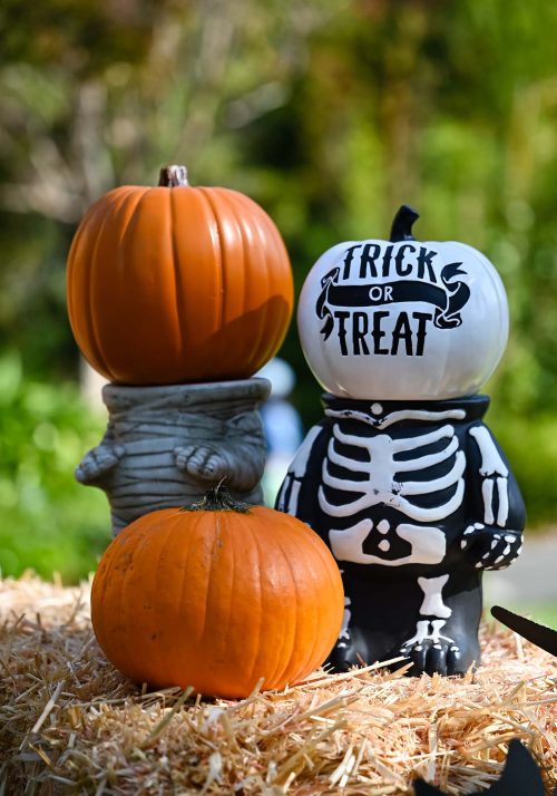 trick or treat trick or treat